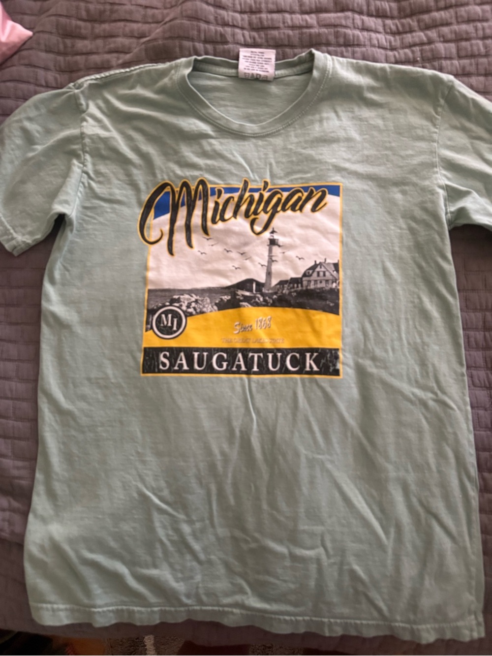 Michigan Saugatuck Graphic Tee - Mint Green